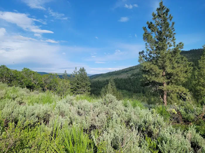Ponderosa Group Campground Picture 10