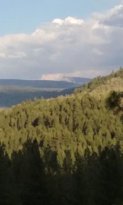 Ponderosa Group Campground Picture 9