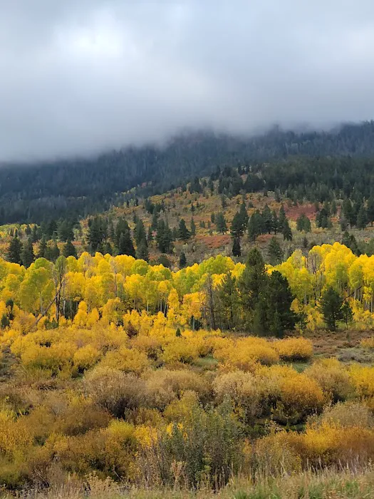 Yellow Pine Campground Picture 4
