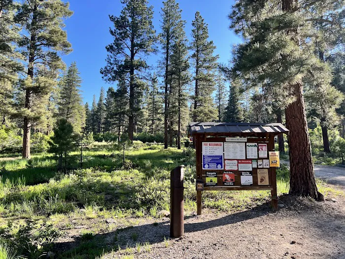 Yellow Pine Campground Picture 2