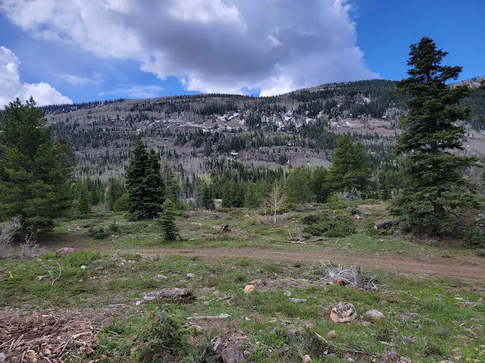 Yellow Pine Campground Picture 8