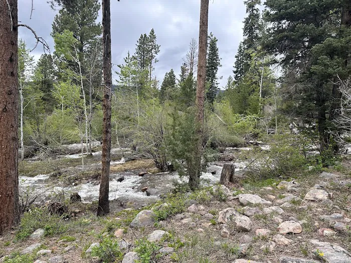 Yellow Pine Campground Picture 5