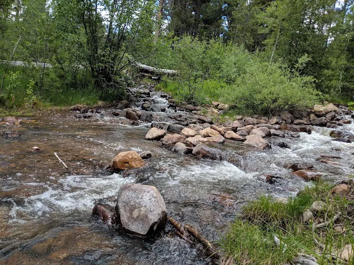 Yellow Pine Campground Picture 7