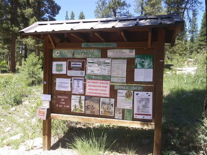 Yellow Pine Campground Picture 10