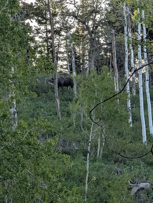 Camp Aspen Lakes Picture 4