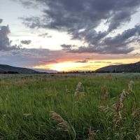 Oakcrest Camp ico