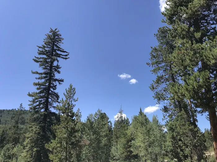 Pine Valley Group Campground Picture 1