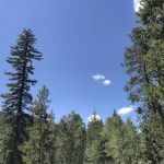 Pine Valley Group Campground