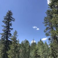 Pine Valley Group Campground ico