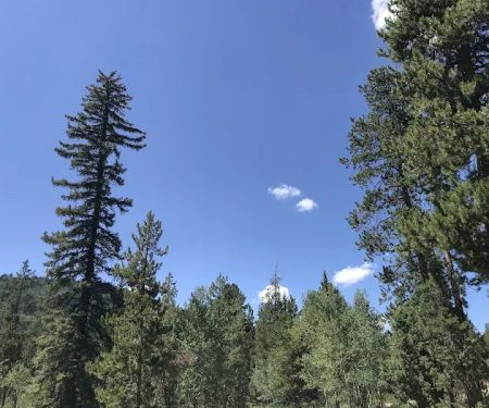 Pine Valley Group Campground