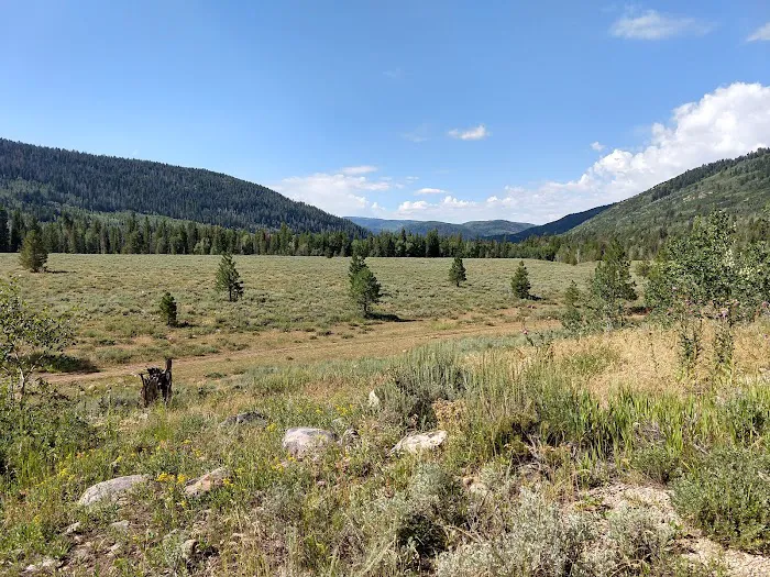 Pine Valley Group Campground Picture 3