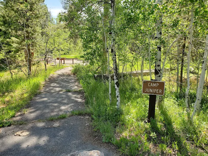 Pine Valley Group Campground Picture 5