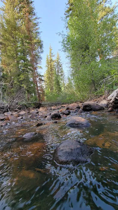 Pine Valley Group Campground Picture 6