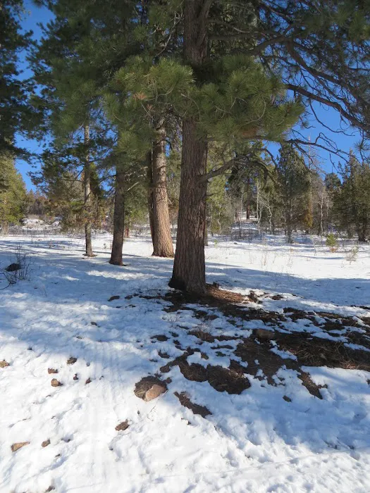 Pine Valley Group Campground Picture 9