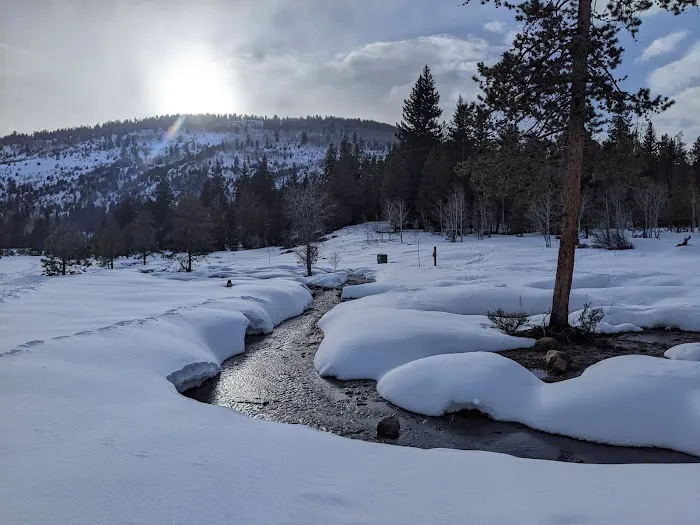 Lower Provo River Campground Picture 3