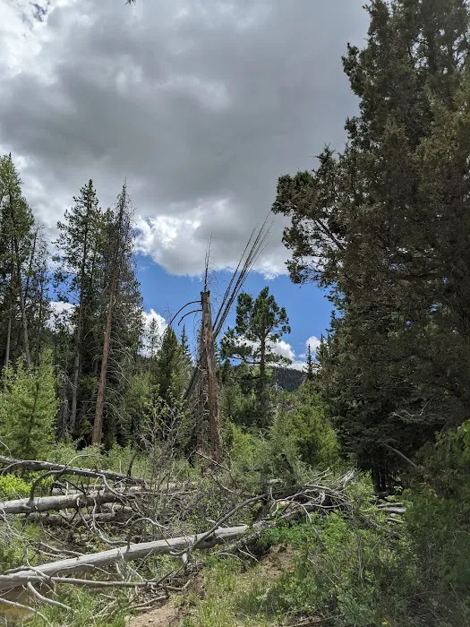 Lower Provo River Campground Picture 7
