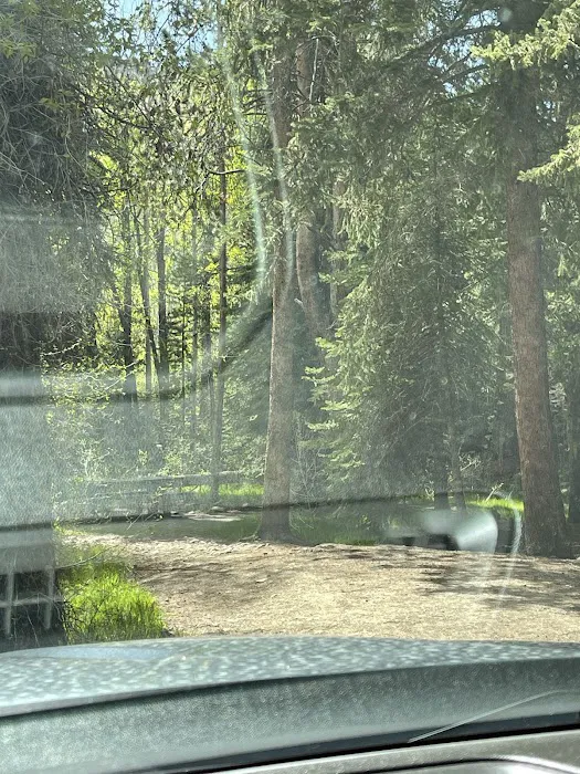 Lower Provo River Campground Picture 4