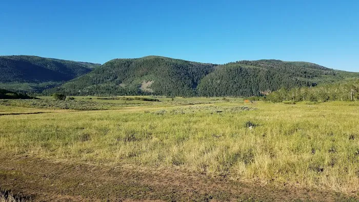 Cedar Hollow Picture 6