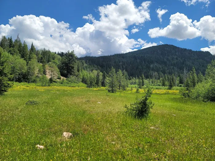 Ledgefork Campground Picture 1