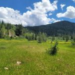 Ledgefork Campground