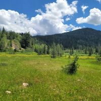 Ledgefork Campground ico
