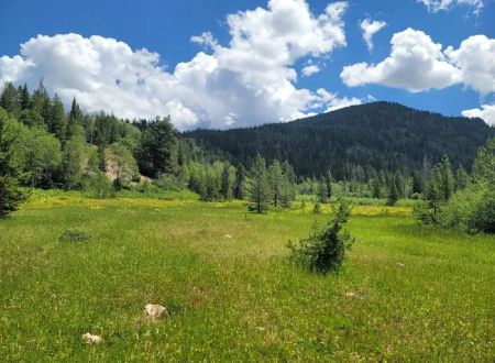 Ledgefork Campground