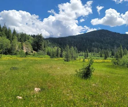 Ledgefork Campground