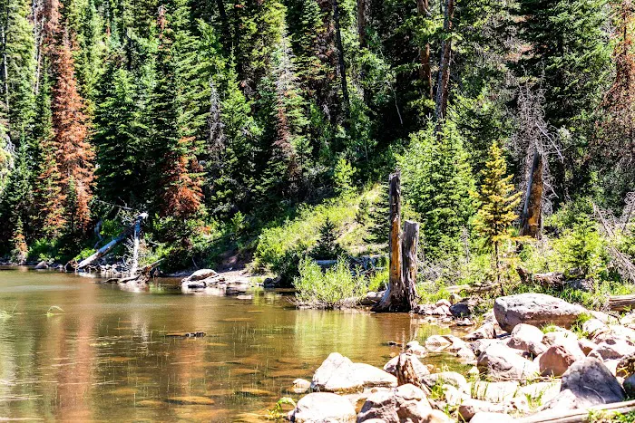 Ledgefork Campground Picture 3