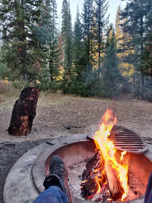 Ledgefork Campground Picture 8