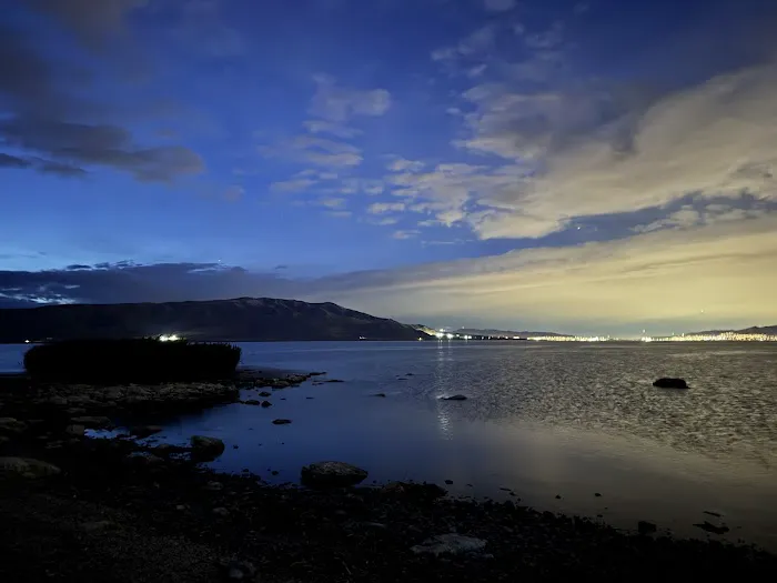 Bird Island Picture 2