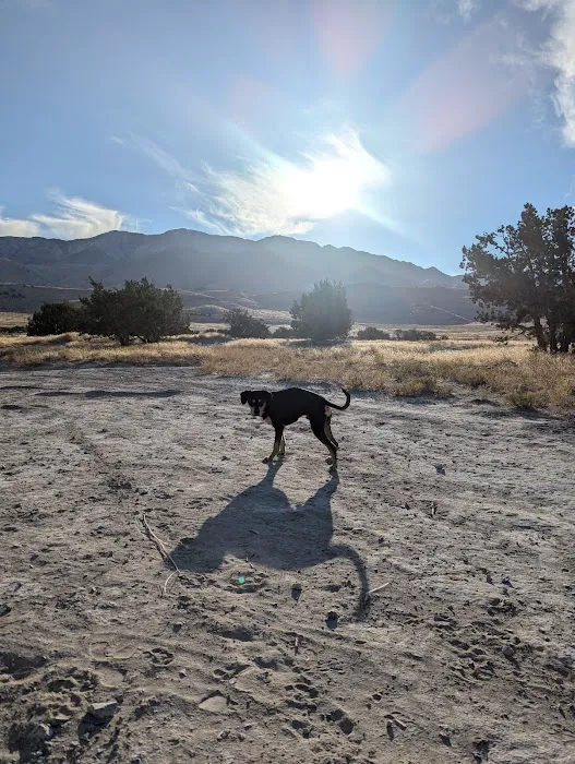 Skull Valley Offroad Camping Area Picture 8