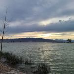 Utah Lake State Park Group Campground