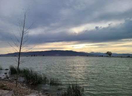 Utah Lake State Park Group Campground