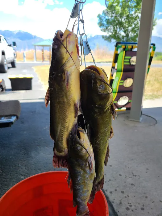 Utah Lake State Park Group Campground Picture 9