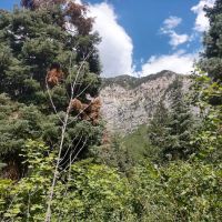 Hope Campground ico