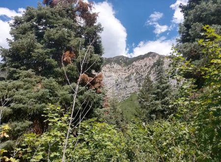 Hope Campground