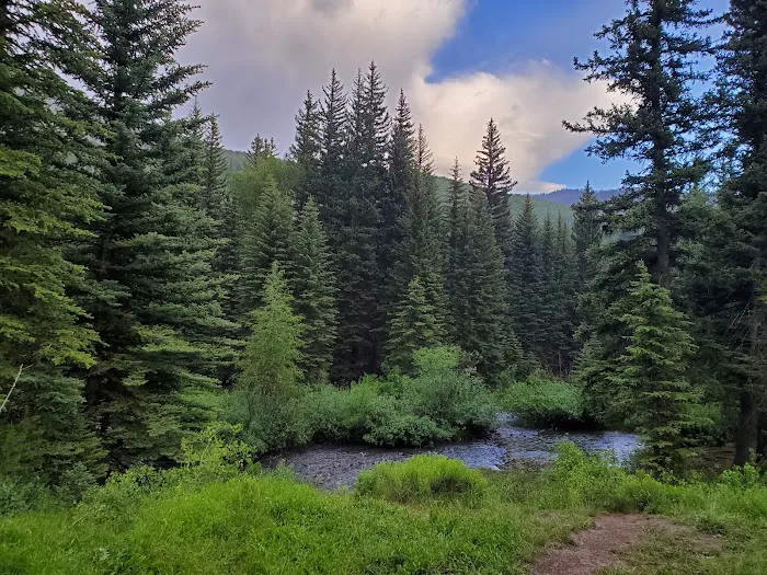 Smith and Morehouse Campground Picture 7