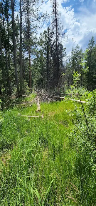 Soapstone Campground Picture 4