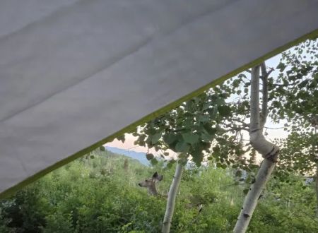 Camp Eliza R. Snow