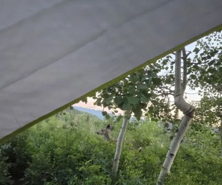 Camp Eliza R. Snow