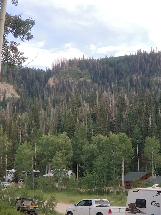 Camp Sariah Picture 4