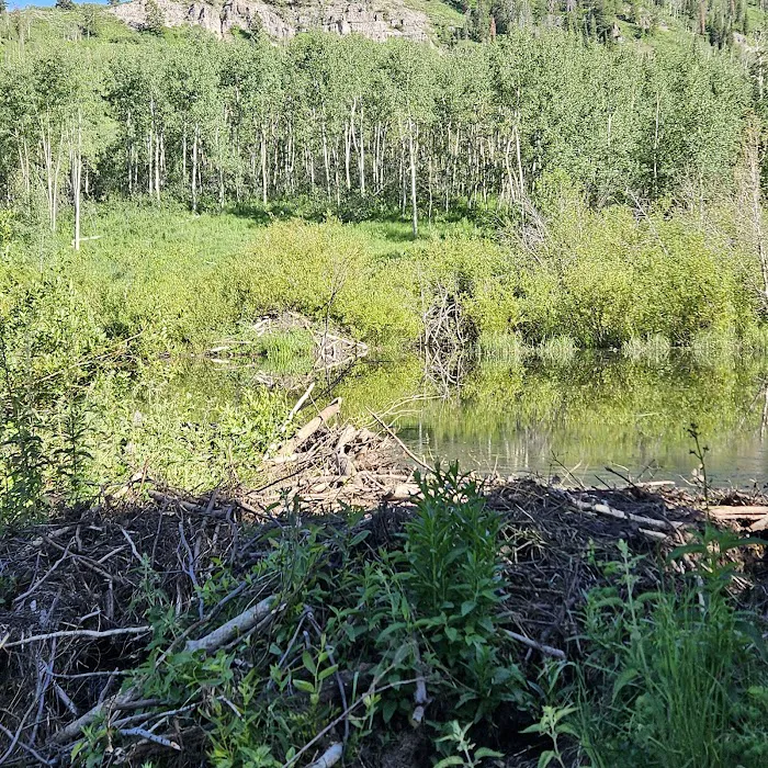 Camp Sariah Picture 3
