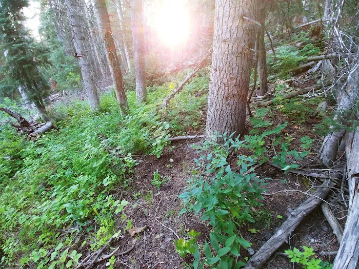 Camp Sariah Picture 7