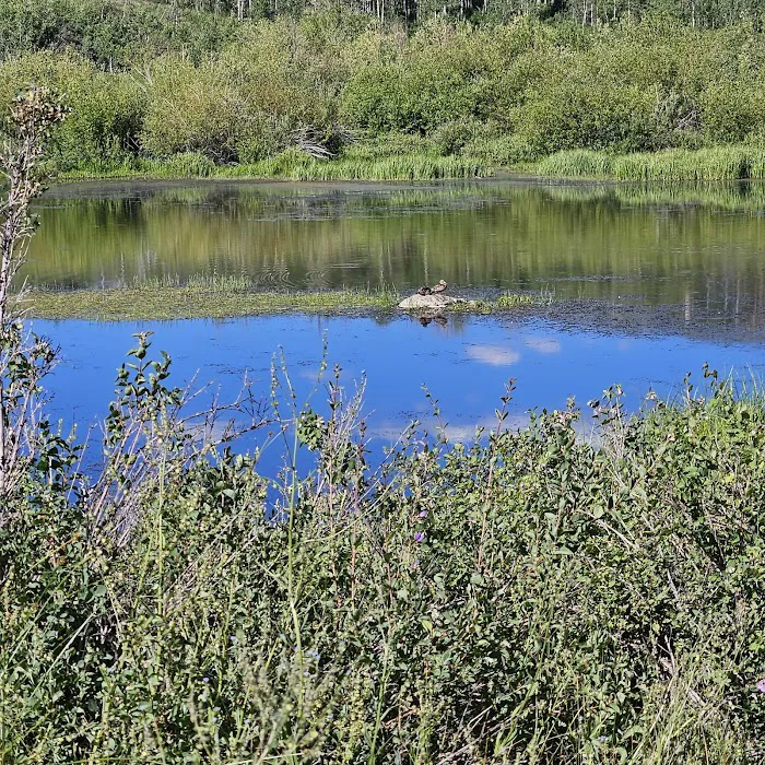 Camp Sariah Picture 10