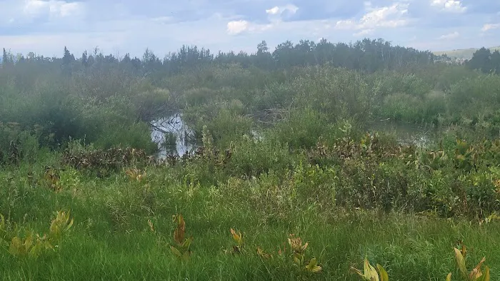 Camp Bertha Stone Reeder Picture 9