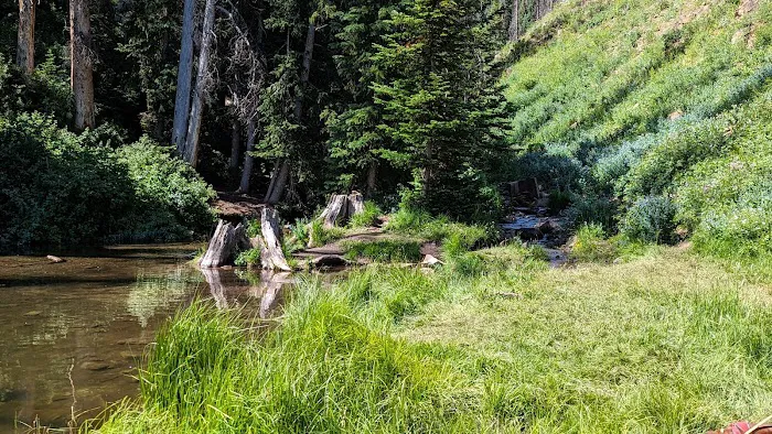 Mill Hollow Campground Picture 7