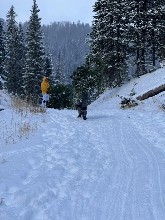 Mill Hollow Campground Picture 6