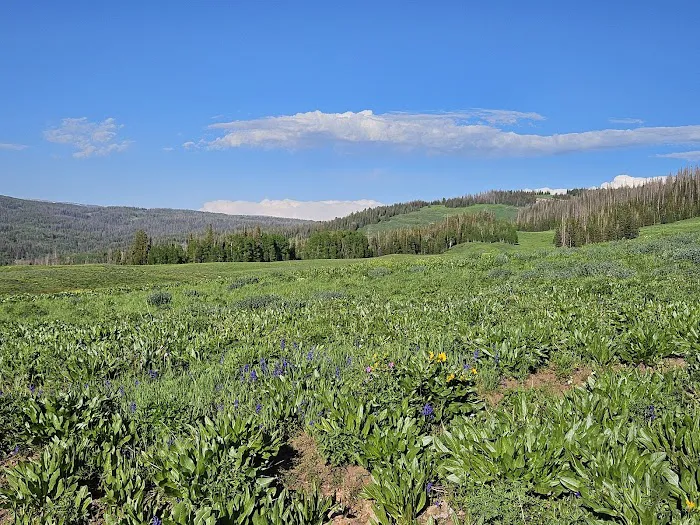 Piuta Recreation Camp Picture 7