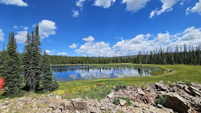 Soapstone Basin Camping Picture 3