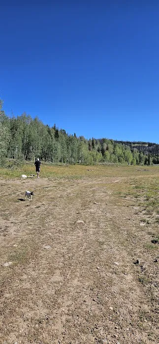 Soapstone Basin Camping Picture 5